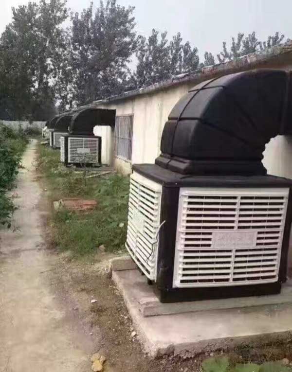 568.jpg